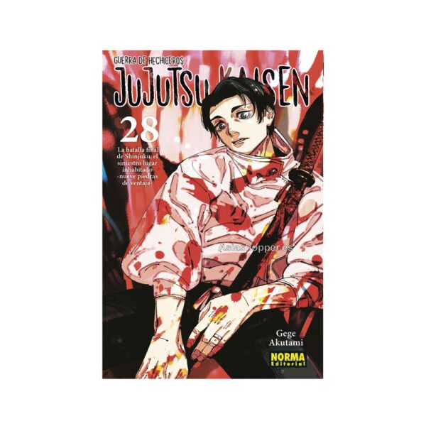jujutsu kaisen 28