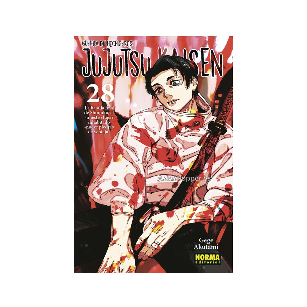 jujutsu kaisen 28