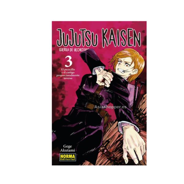 Jujutsu Kaisen nº3